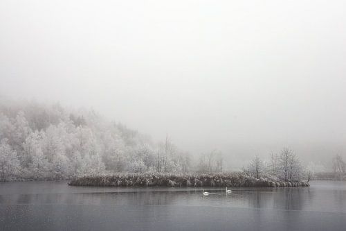 Winter landscape Schwackenreuter Seen with fog and hoarfrost