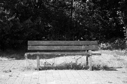 Ontdek de natuur in een bosrijk gebied in Emsland, Nedersaksen, Duitsland