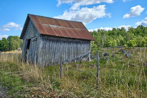 Swedish barn