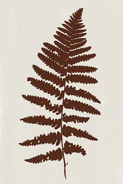 Moderne botanische kunst. Varen in bruin op wit van Dina Dankers