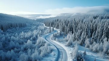 Winterlandschap in de bergen met een besneeuwde weg, luchtfoto van Animaflora PicsStock