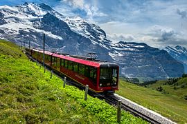 Jungfraubahn, Grindelwald, Schweiz von Adelheid Smitt