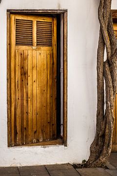 Karakteristieke deur in Ibiza stad van Annette van Dijk-Leek