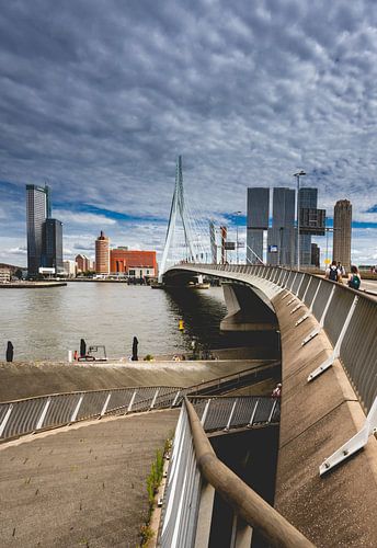 Erasmus Bridge Rotterdam