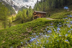 Berghütte im Rosstal oberhalb von Kalkstein, Villgratental