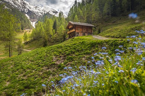 Berghut in het Rosstal boven Kalkstein, Villgratental