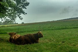 En route dans la nature