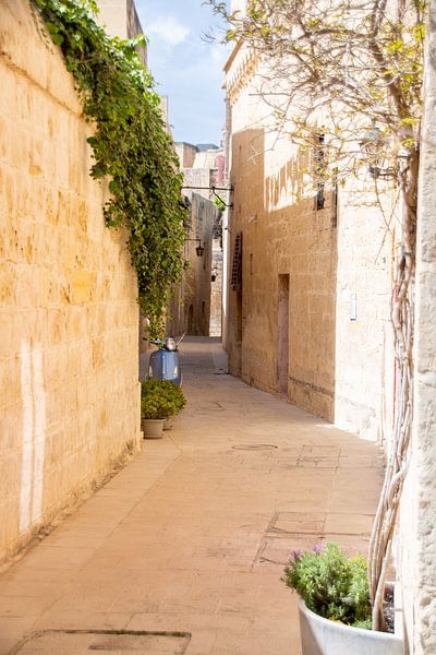 Petite rue parfaite à Mdina I République de Malte par Manon Verijdt