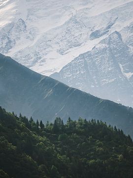 Lagen met bergen en bomen in de Franse Alpen van Joren van den Bos