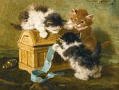 Henriëtte Ronner-Knip - Drie katjes met een kist en blauw lint (1894) van Peter Balan thumbnail