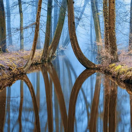 River of Reflections