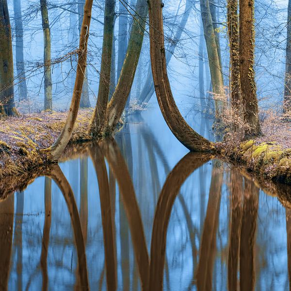Fluss der Reflektion Nr. 2 von Lars van de Goor