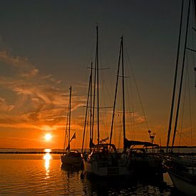 Sailing boats on the Grevelingen at sunset by Judith Cool