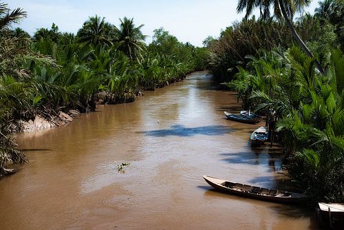 Rivière à travers la jungle