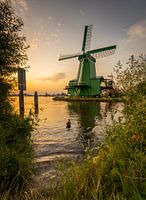 On a summer's evening