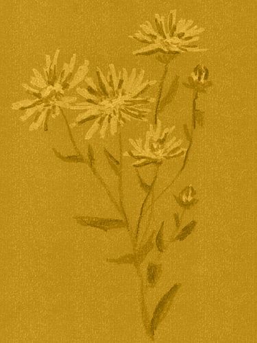 Kleurrijke vintage bloemen. Aster in goud, oker en mosterd. van Dina Dankers