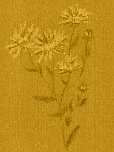 Kleurrijke vintage bloemen. Aster in goud, oker en mosterd. van Dina Dankers