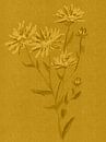 Kleurrijke vintage bloemen. Aster in goud, oker en mosterd. van Dina Dankers thumbnail