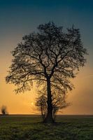 Soft and indeterminate colours of the twilight