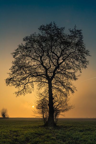 Soft and indeterminate colours of the twilight by Bert Heuvels