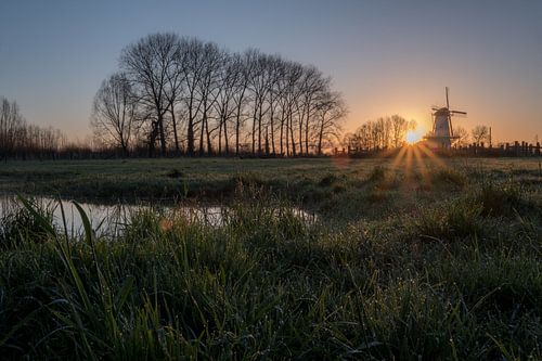 Zonsopkomst bloesemmolen De Vlinder in de Betuwe