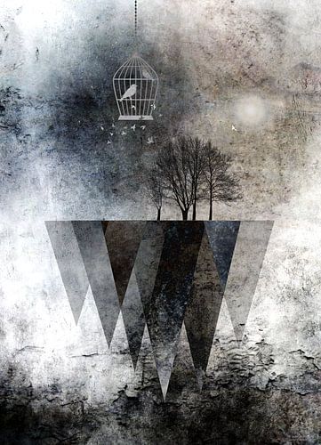 TREES over MAGIC MOUNTAINS I