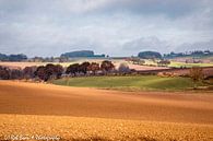 Limburgs Heuvelland in Baneheide van Rob Boon thumbnail
