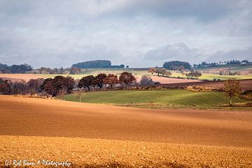 Limburgs Heuvelland in Baneheide van Rob Boon