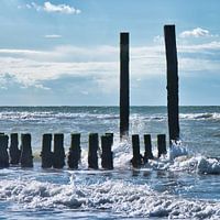 beautiful sea