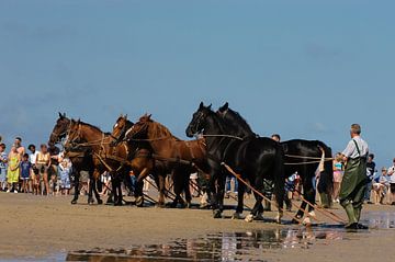 Paarden op strand Ameland van Brian Morgan