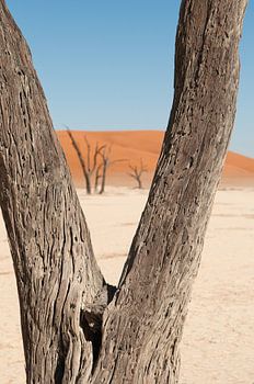 Namibia