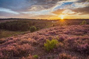 Sonnenuntergang auf der Posbank von Ronne Vinkx