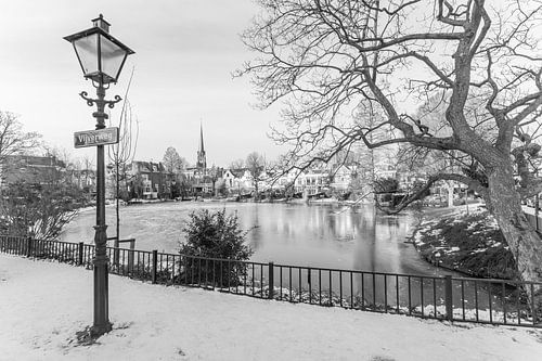 De vijver in Rotterdam Kralingen vanaf de Vijverweg