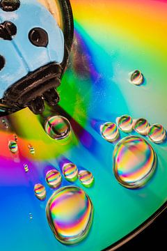 Colourful Water Drops by Léonie's Art Gallery