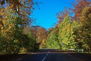Strasse im Herbst (Dänemark)