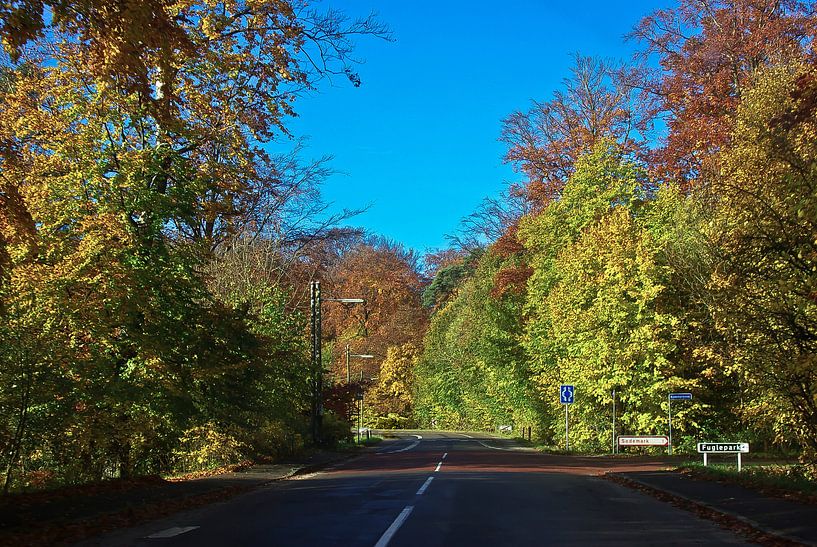 Strasse im Herbst (Dänemark) von Norbert Sülzner