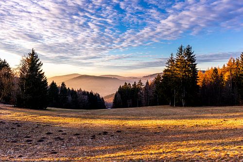 Short sunset hike to the Ruppberg near Zella-Mehlis - Thuringia - Germany