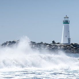 Vuurtoren in de storm van Sandra Bechtold