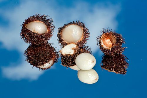 Ramboutan est dans l'air