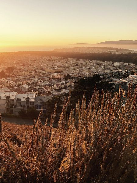 San Francisco by Hello Pompoyo