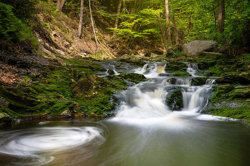 Hoëgnevallei, Hoge Venen, België