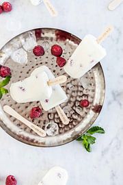 Joghurt Himbeereiscreme mit Joghurt von Nina van der Kleij
