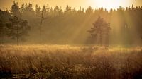 Glorieuze zonsopkomst