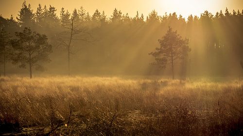 Glorieuze zonsopkomst
