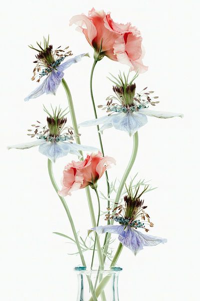 Blumen in Pastellfarben von Klaartje Majoor