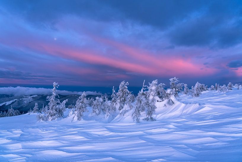 Winter Vibes by Hello Pompoyo