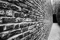 Perspectief
