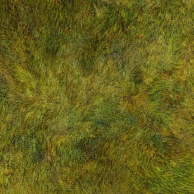 Homogene dynamiek van Art Demo