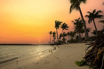 Plage de Sainte Anne, Caribbean beach on Guadeloupe