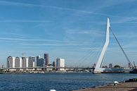 Erasmusbrug Rotterdam von Anouk IJpelaar Miniaturansicht